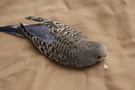 110905 --- R10